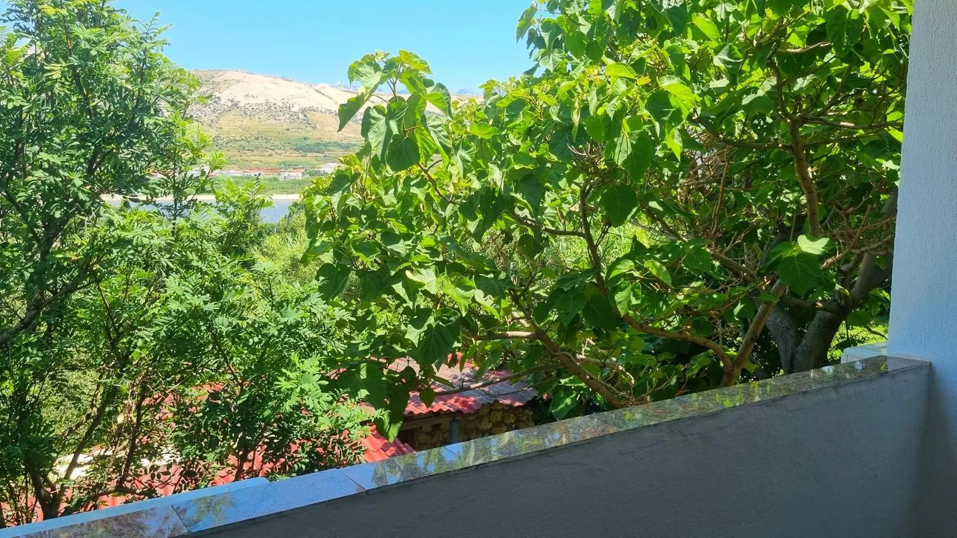 Apartments Seso باغ